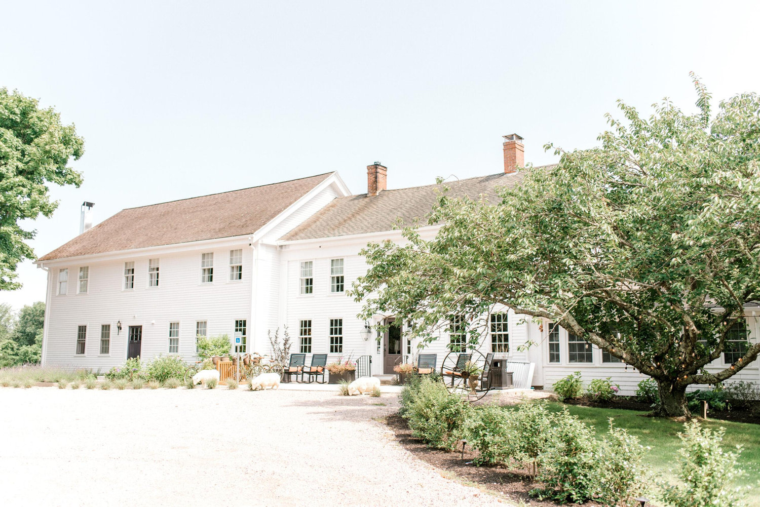 The Wedding Website of Caroline Thomas and Jakob Dickson