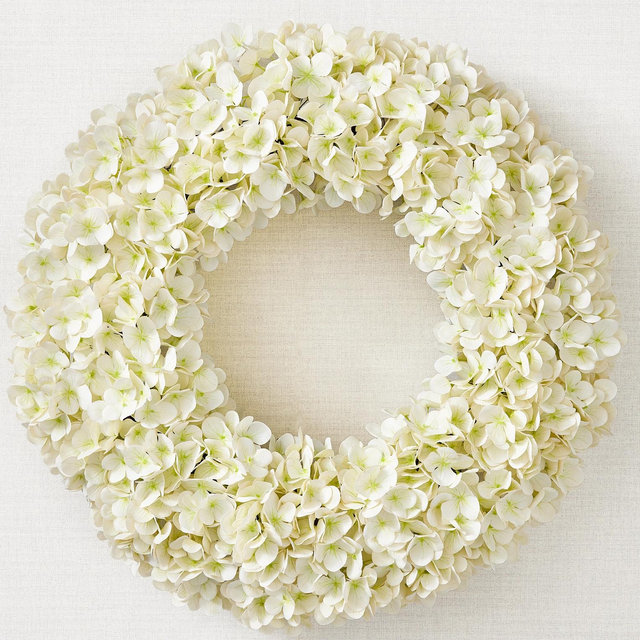 Outdoor Hydrangea Harmony Foliage