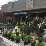Warburton Nursery and Greenhouses