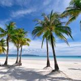 The District Boracay (Beachfront Hotel)