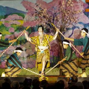 Kabuki Theater Experience