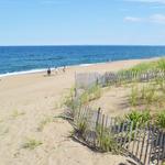 Plum Island Beach
