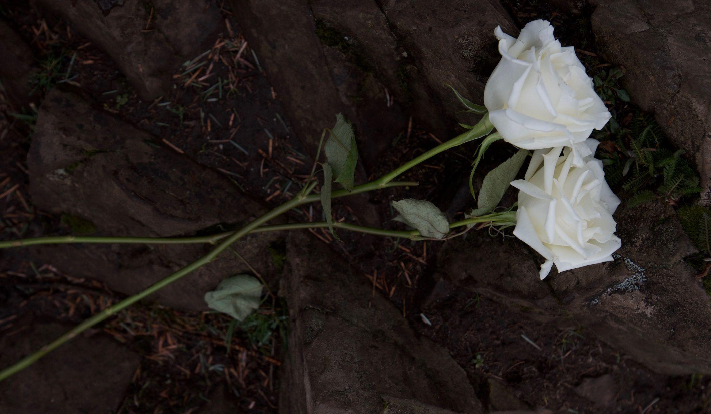 Footer image