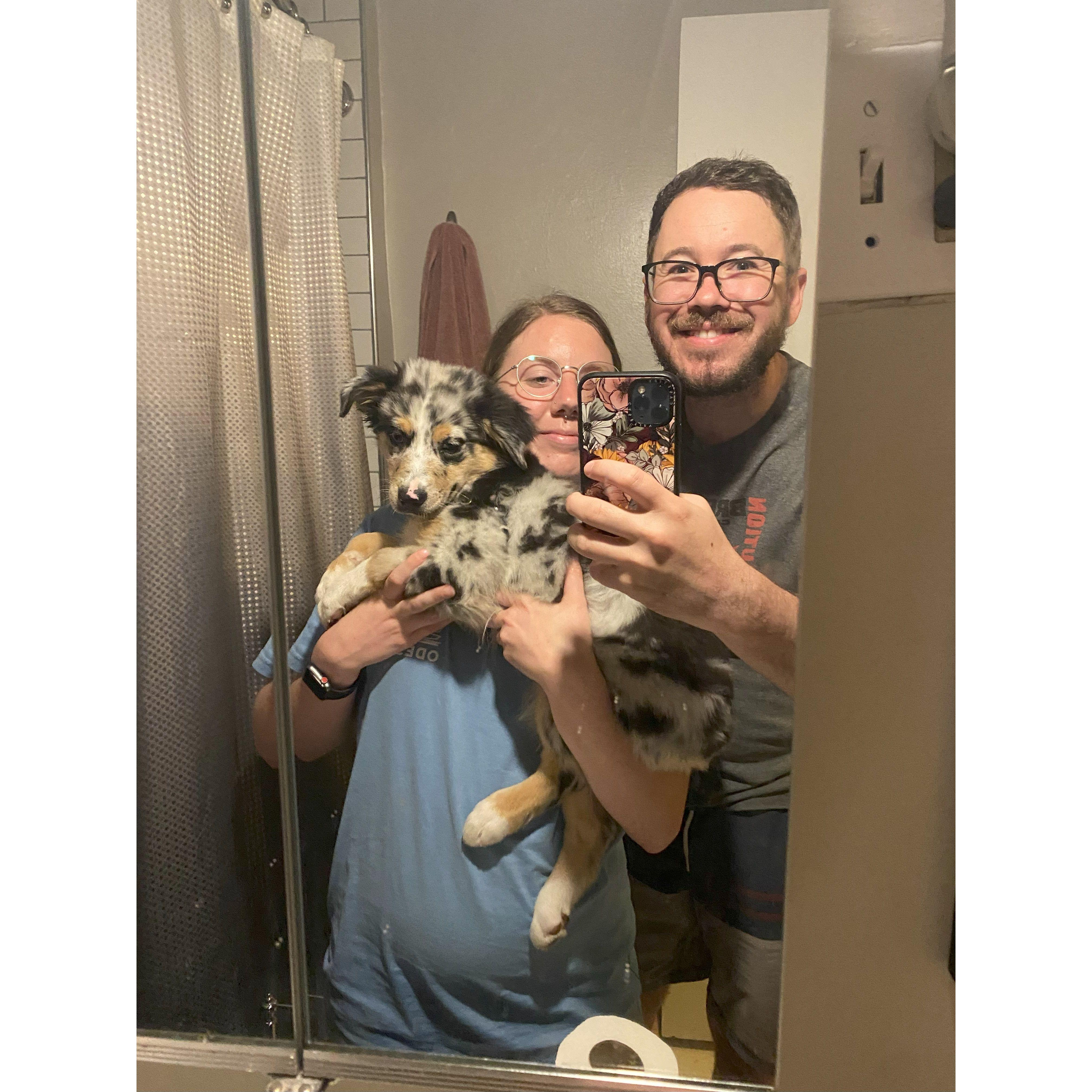 Zorba is getting bigger!