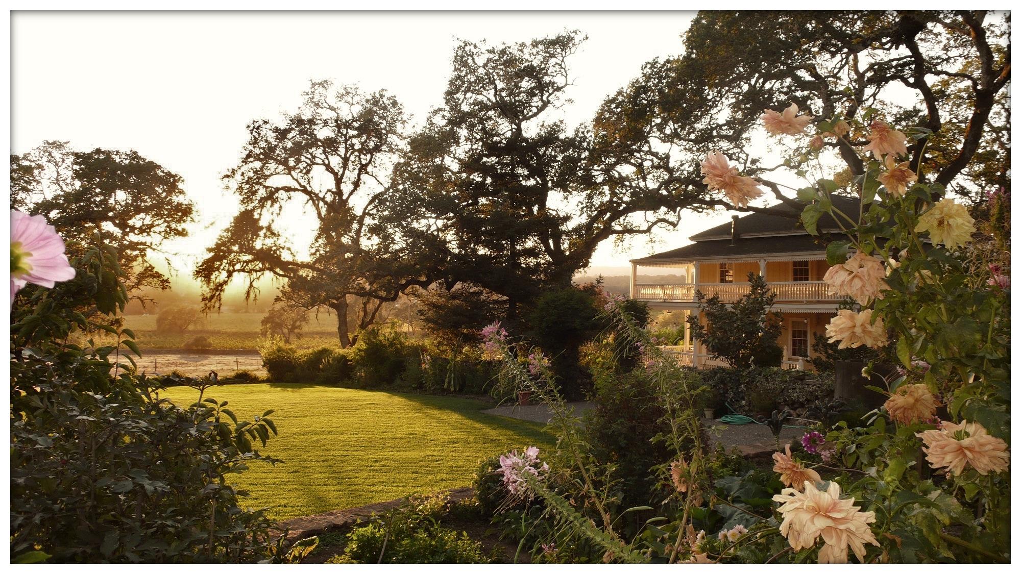 The Wedding Website of Seth Weisfeld and Natalie Hurley