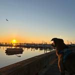 Relish Bakery & Sandwich Shop