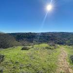 Hiking