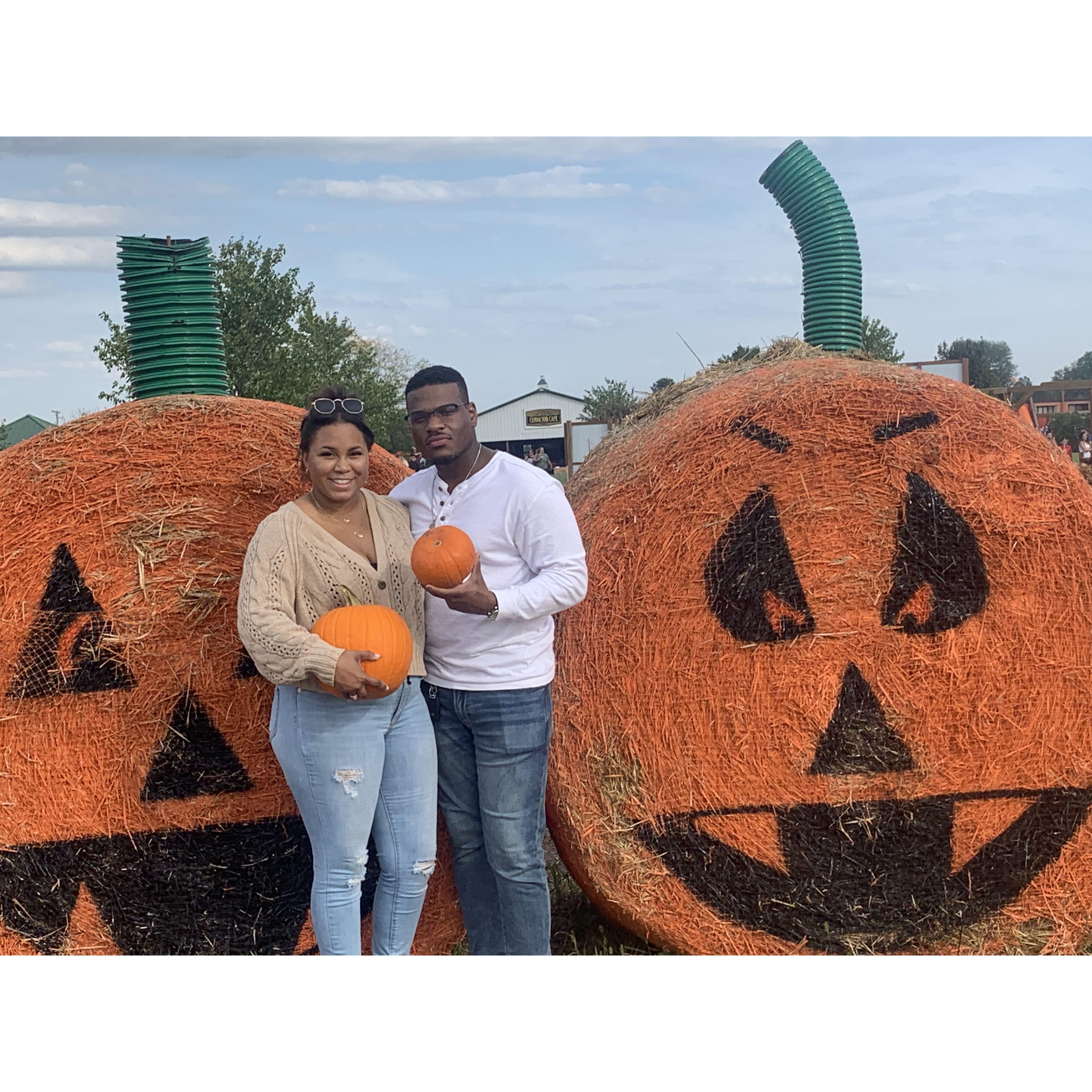 All the fall things!