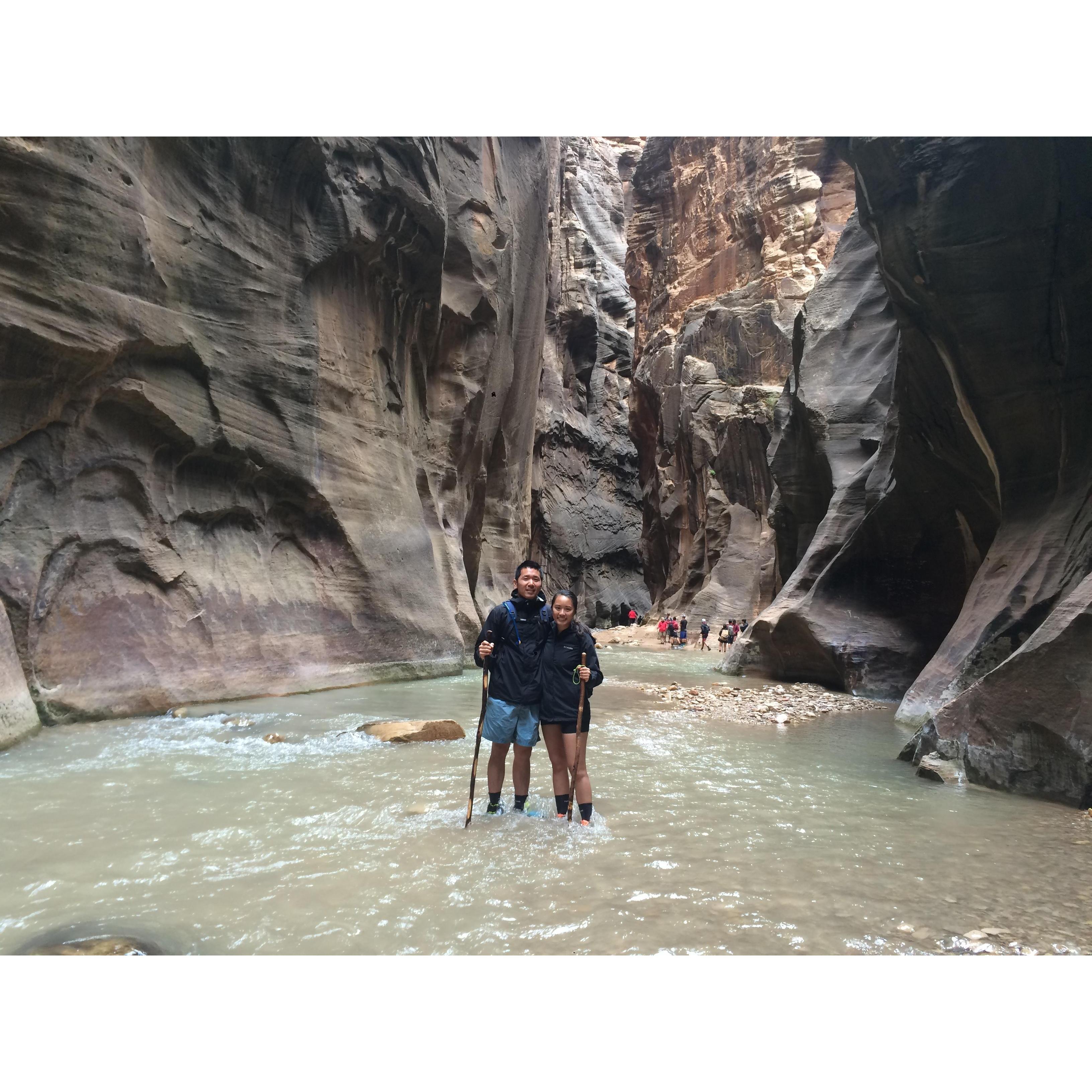 Zion 2015