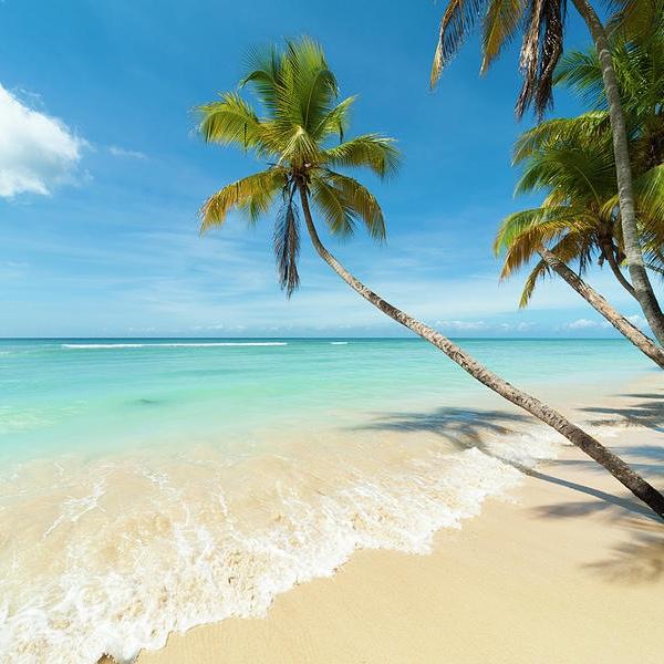 Our honeymoon 🏝️