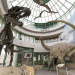 North Carolina Museum of Natural Sciences