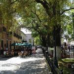 Jardín de las  Rosas