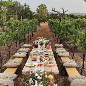 Lunch at Masseria Montenapoleone