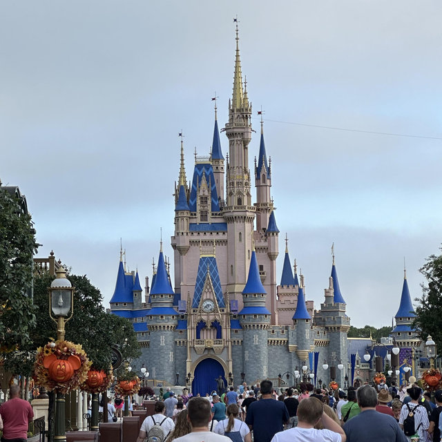 Disney Tickets