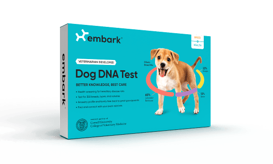 Embark Breed + Health Kit