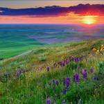 Steptoe Butte State Park Heritage Site