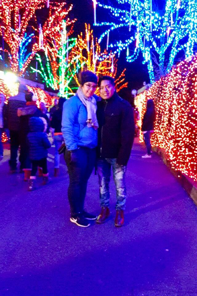 Zoolights