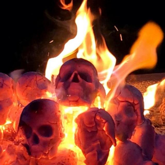 9 big skull charcoals for fire pit, fire ring (barbecue, brazier, fireplace,…) FREE SHIPPING