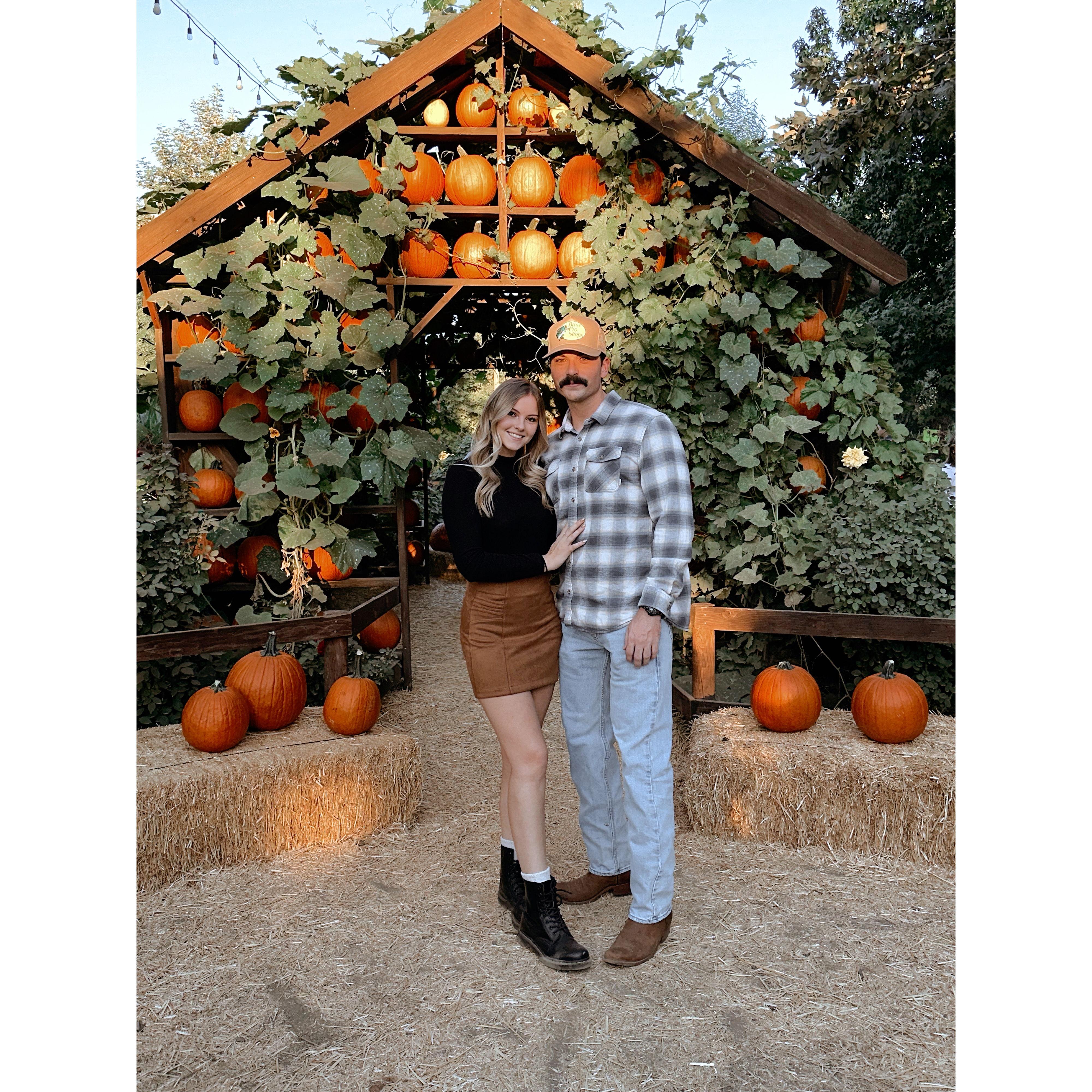 Pumpkin patch season!