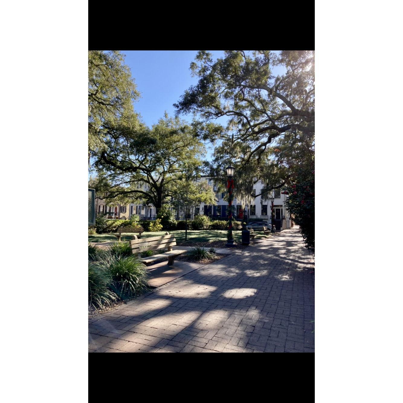 The park the proposal took place in Savannah GA.