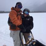 Snowy Owl Sled Dog Tours