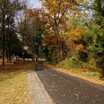 Otsiningo Park