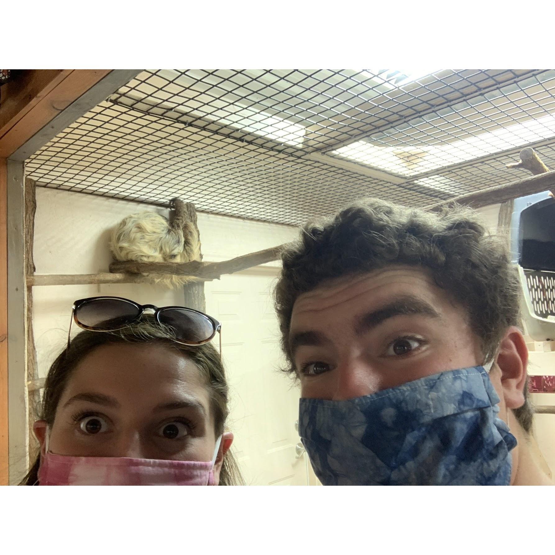 Ben and Maddy went to Brights zoo and got to take a selfie with a sloth.