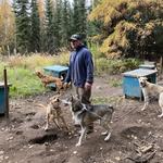Trail Breaker Kennel