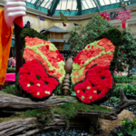 Bellagio Conservatory & Botanical Gardens