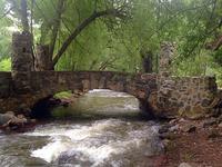 Lair o’ the Bear Park
