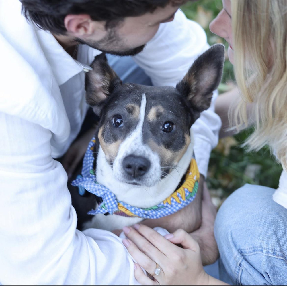 Emma Albin and Davis Byrd's Wedding Website