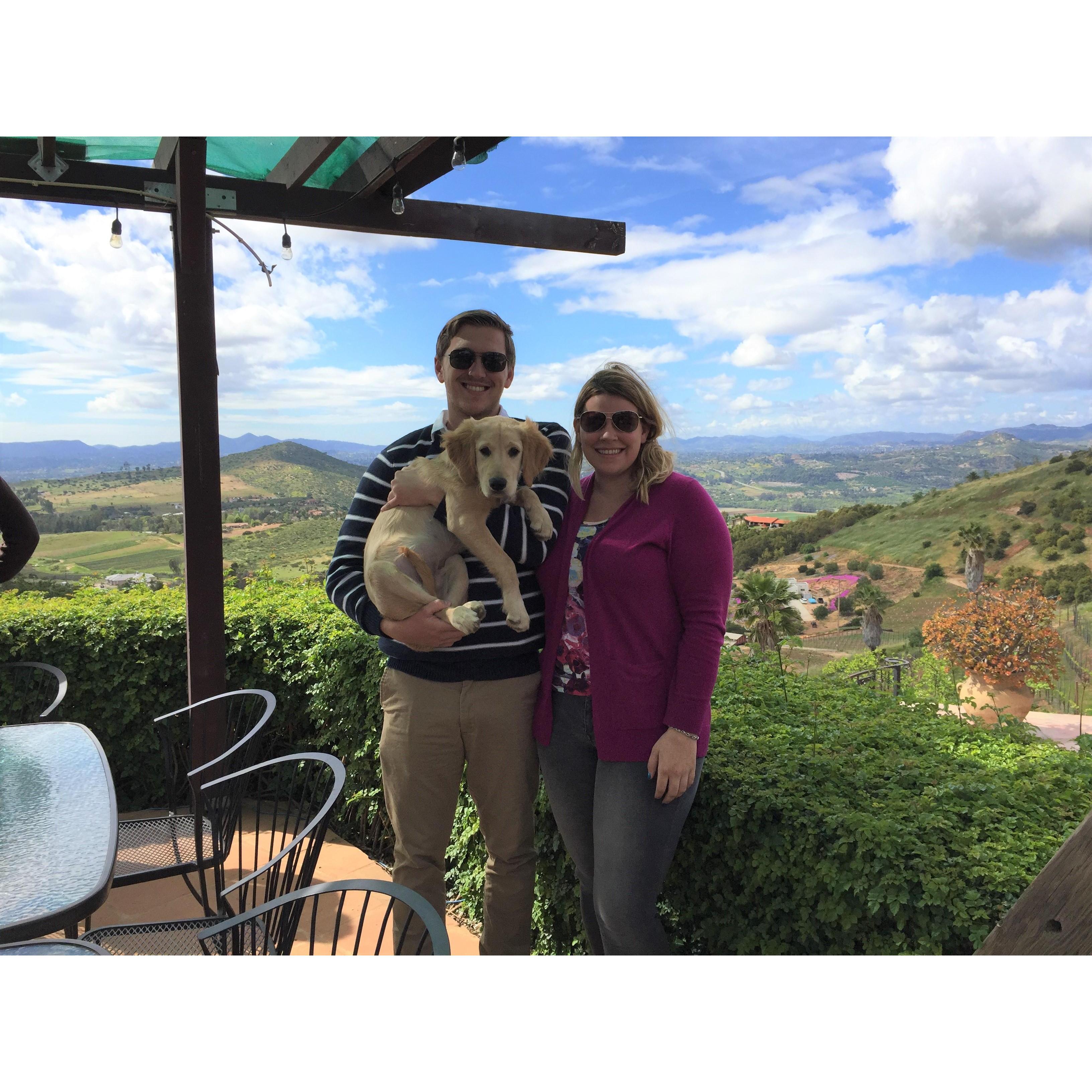 3/25/2017:  Wine tasting with Winston at 4 months old