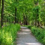 Dennings Point Trail