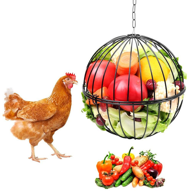 PIREKZUNT Hanging Chicken Feeder, 7.1 Inch Large Chicken Vegetable Hanging Feeder, Treat Holder with 15.7 Inch Hanging Chain Treat Ball Feeding Tool for Poultry (Black)