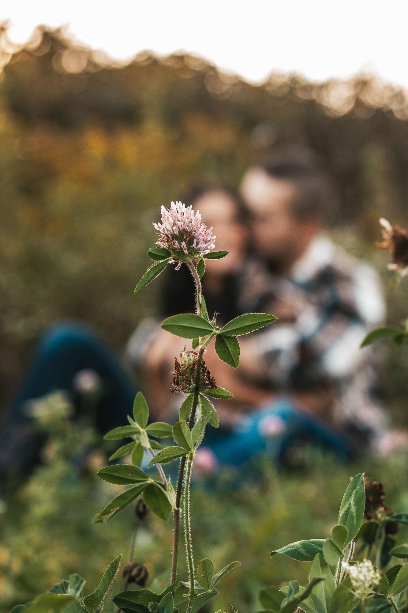 The Wedding Website of Leighanna R. Wiskur and Alexander F. Schuhmacher