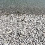 Washington Island