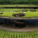 Tuscany Wine Tasting