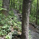 Elk Knob State Park