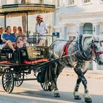 Old South Carriage Company