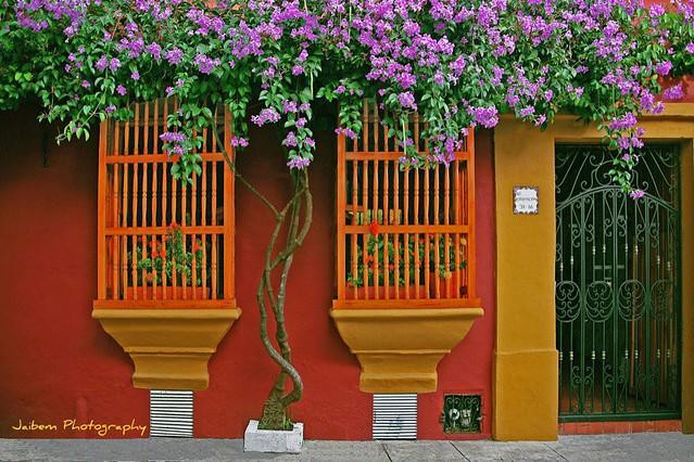 The Wedding Website of Victoria Angulo and Sami Springer