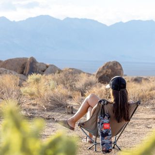 Mantis Chair