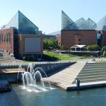 Tennessee Aquarium