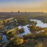 Forest Park