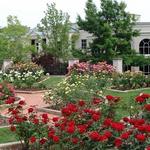 Birmingham Botanical Gardens