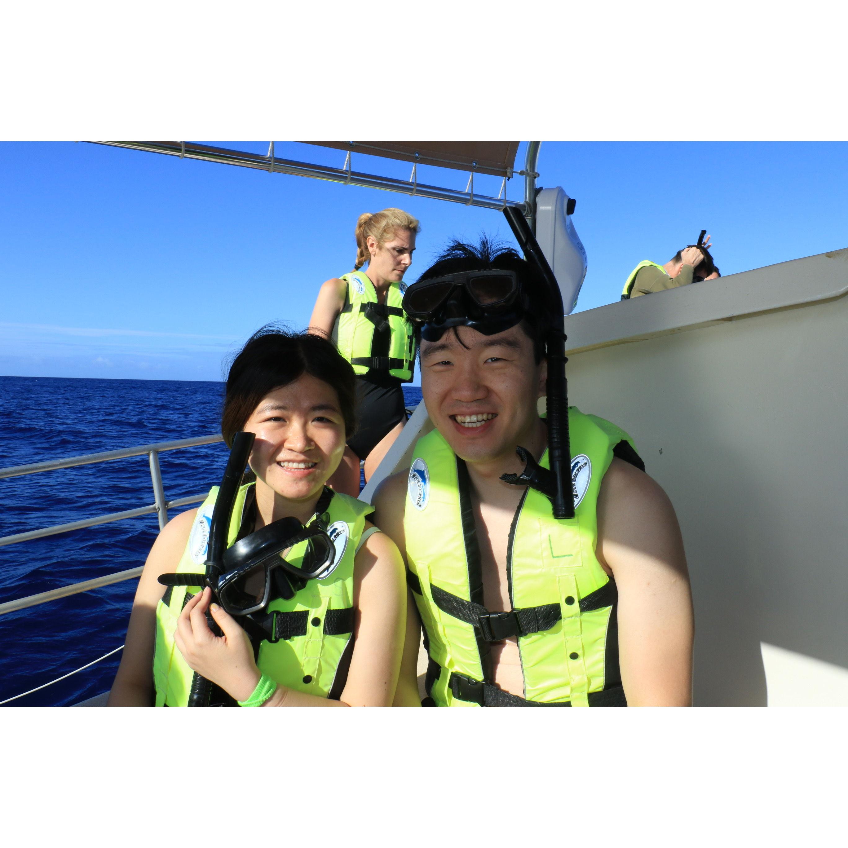 at Hawaii swimming with dolphin tour