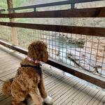 Nay Aug Park
