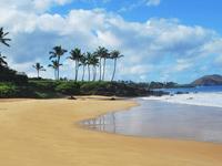 Snorking @ Kapalua Bay Beach.  Saturday @ 12:00