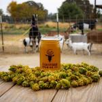 GoatHouse Brewing Co.