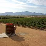 Finca Altozano