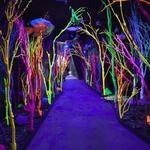 Meow Wolf Santa Fe